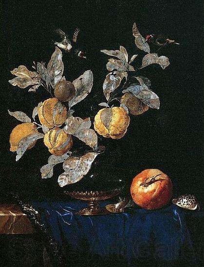 Aelst, Willem van with Fruit